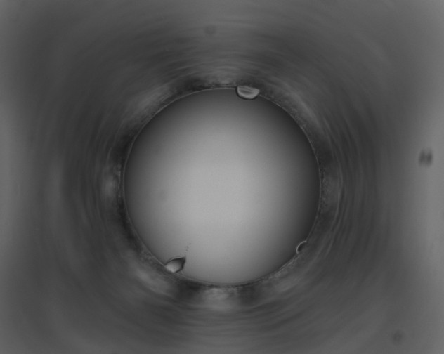 X0000096630126200802121056