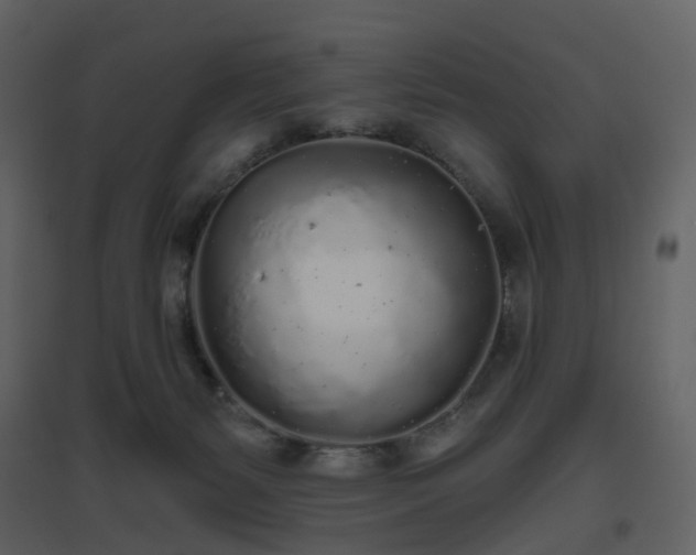 X0000096630127200802121056