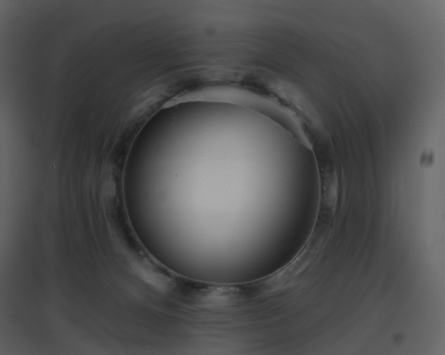 X0000096630128200802121056