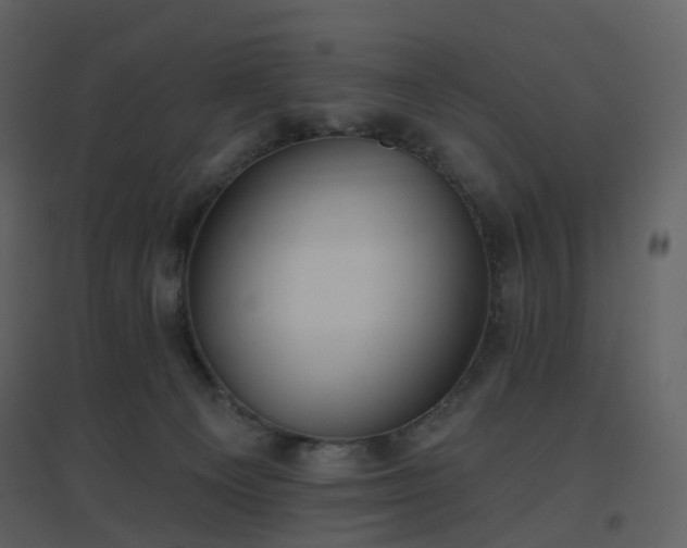 X0000096630129200802121056