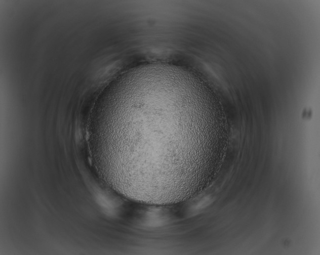X0000096630130200802121056