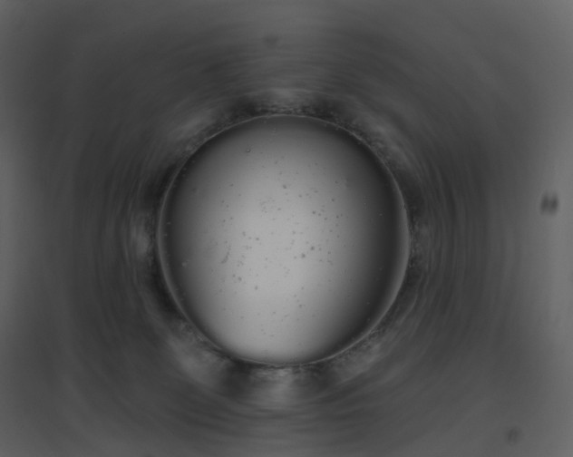 X0000096630131200802121056