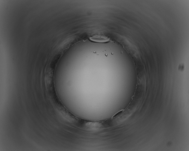X0000096630133200802121056