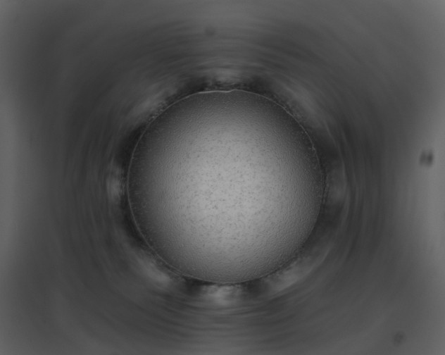 X0000096630135200802121056