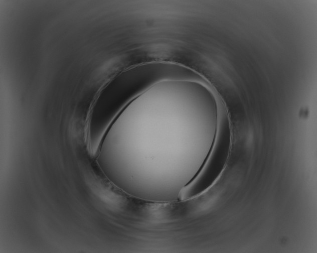 X0000096630136200802121056