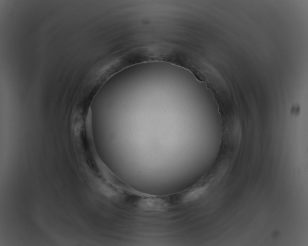 X0000096630137200802121056