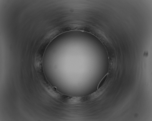 X0000096630138200802121056
