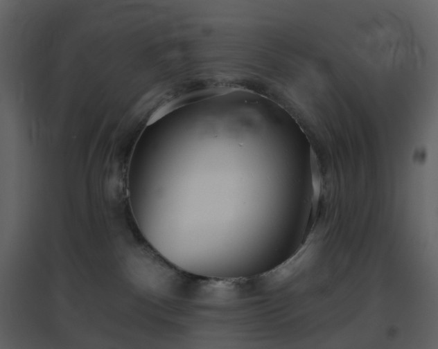 X0000096630140200802121056