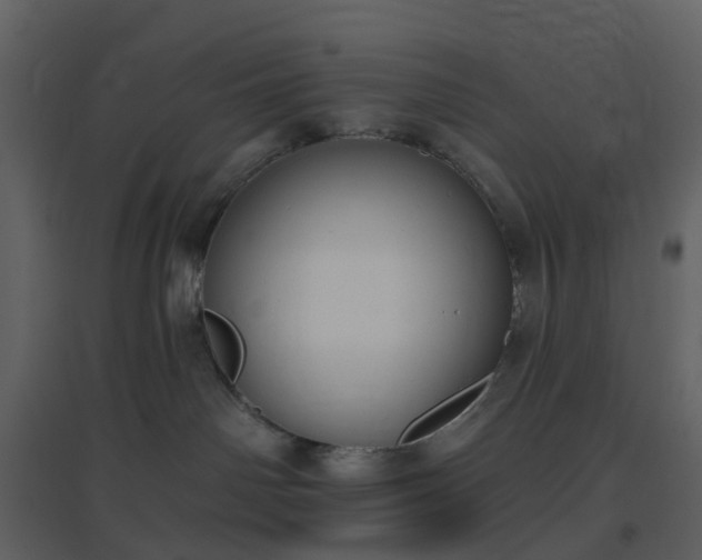 X0000096630142200802121055