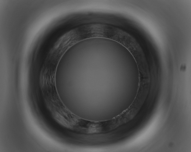 X0000096630143200802121055