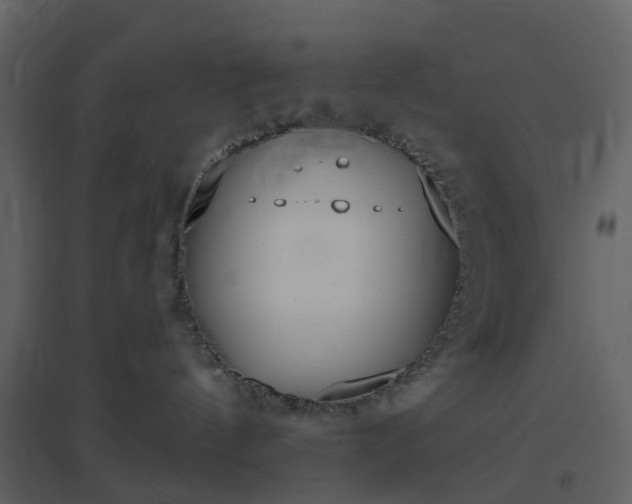 X0000096630144200802121055