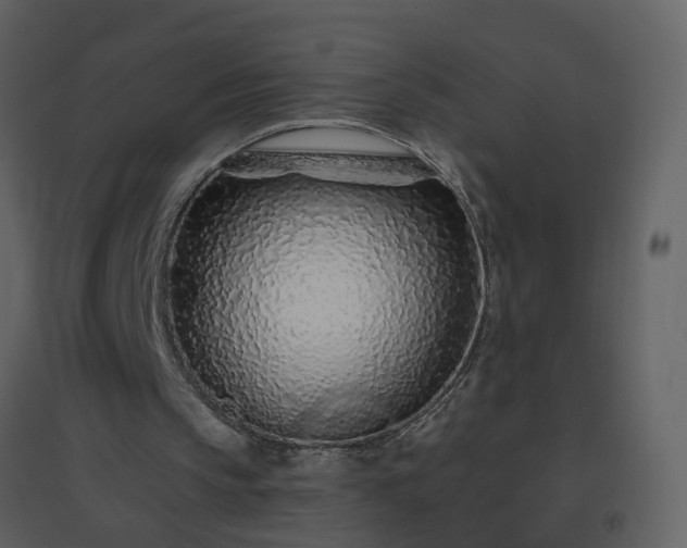 X0000096630145200802121055