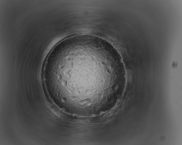 X0000096630147200802121055