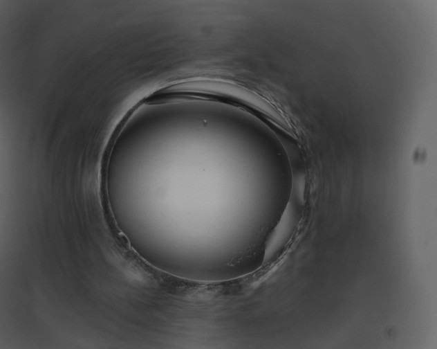 X0000096630148200802121055