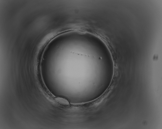 X0000096630149200802121055