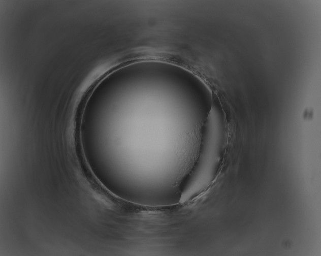 X0000096630150200802121055