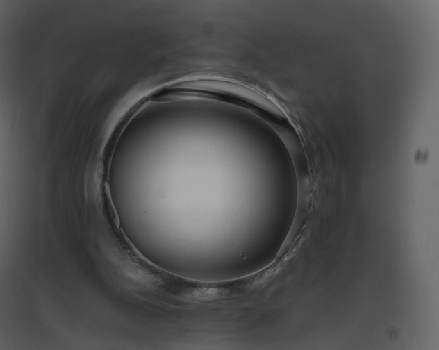 X0000096630152200802121055