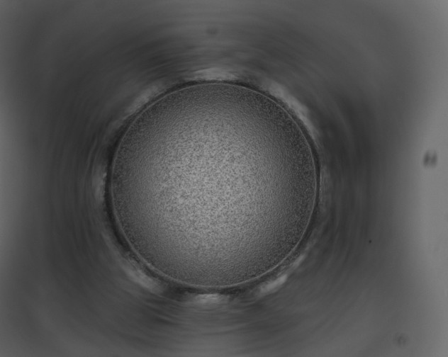 X0000096630153200802121055