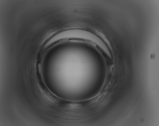 X0000096630154200802121055