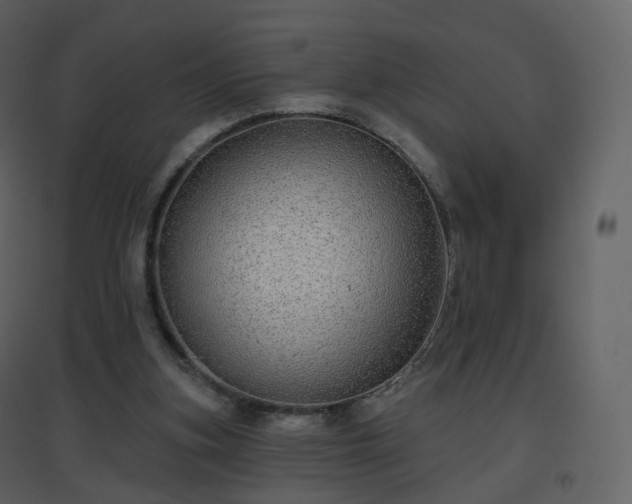 X0000096630155200802121055