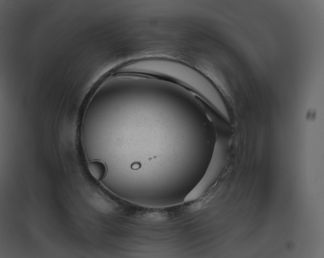X0000096630156200802121055