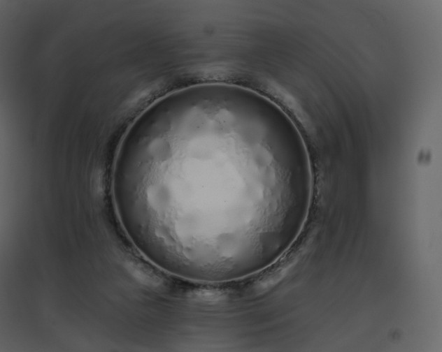 X0000096630161200802121055