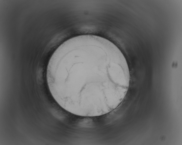 X0000096630162200802121055