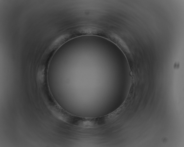 X0000096630163200802121055