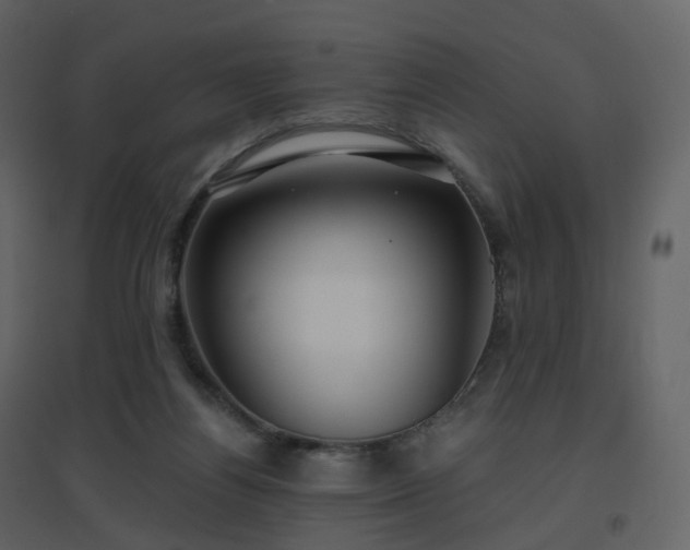 X0000096630164200802121055