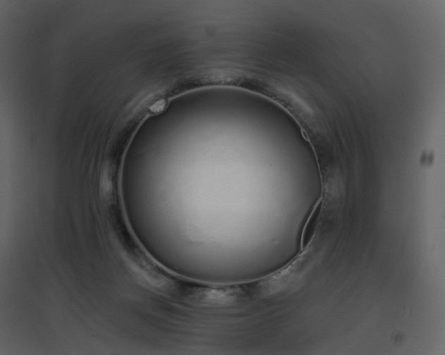 X0000096630166200802121055