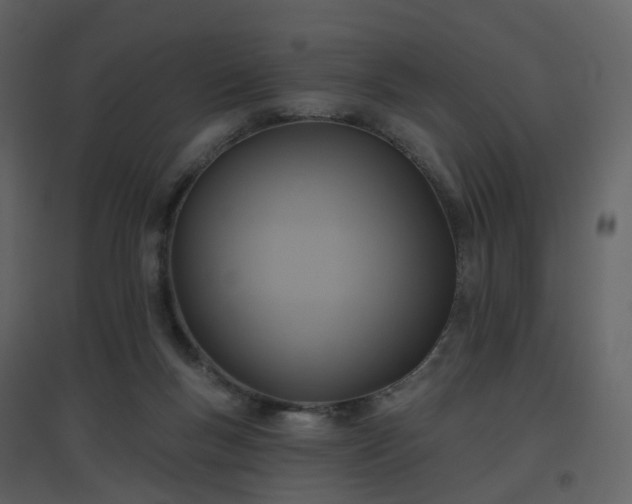 X0000096630167200802121055