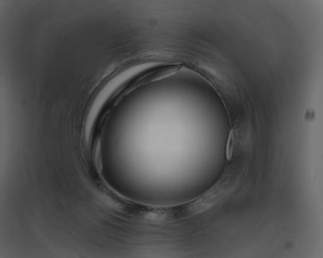 X0000096630168200802121055