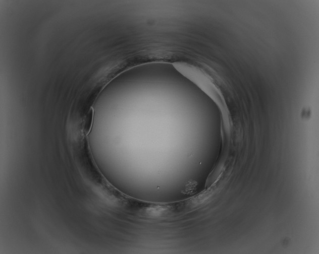 X0000096630172200802121055
