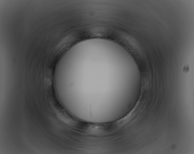 X0000096630174200802121055