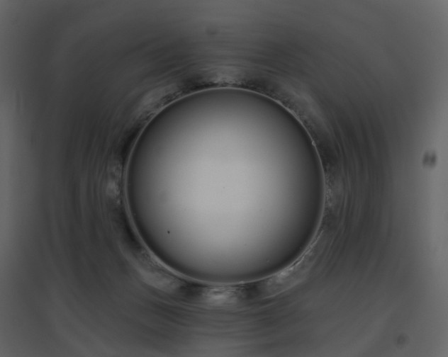 X0000096630175200802121055