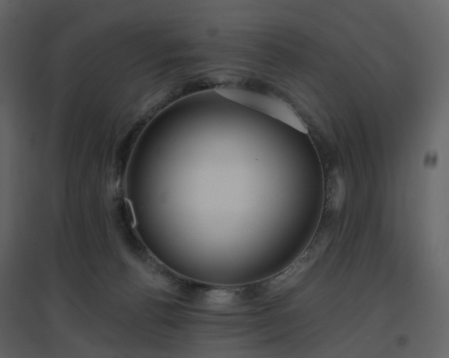 X0000096630176200802121055