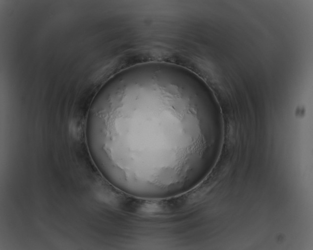 X0000096630177200802121055