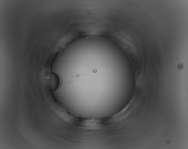 X0000096630179200802121055