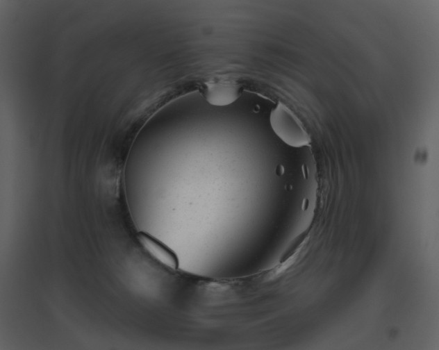 X0000096630180200802121055