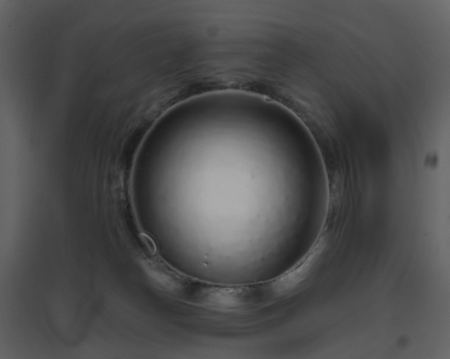 X0000096630182200802121055