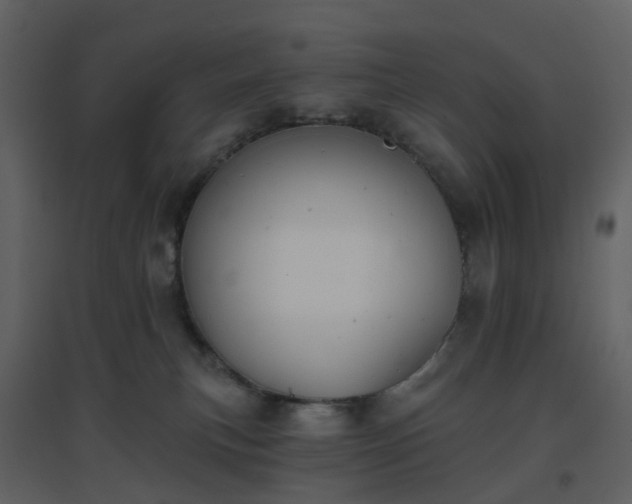 X0000096630183200802121055