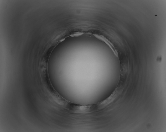 X0000096630184200802121055