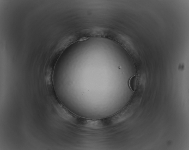 X0000096630185200802121055