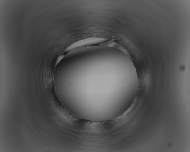 X0000096630186200802121055