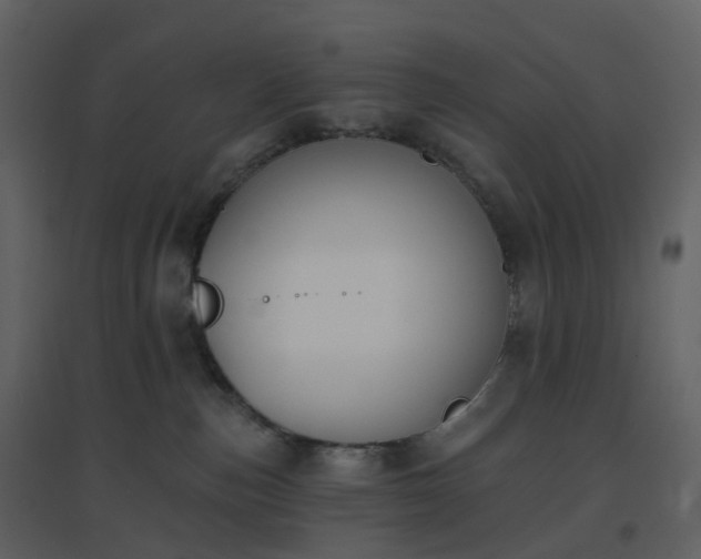 X0000096630187200802121055