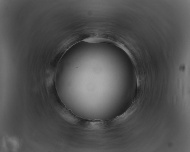 X0000096630188200802121055