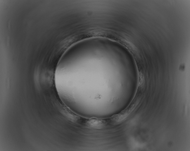 X0000096630189200802121055