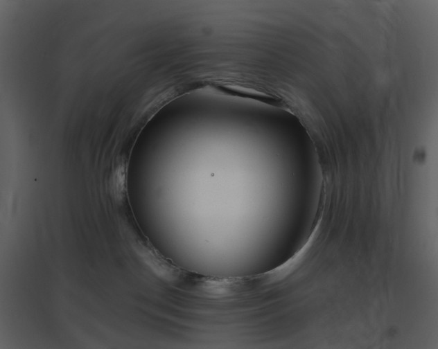 X0000096630190200802121055