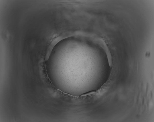 X0000096630192200802121055