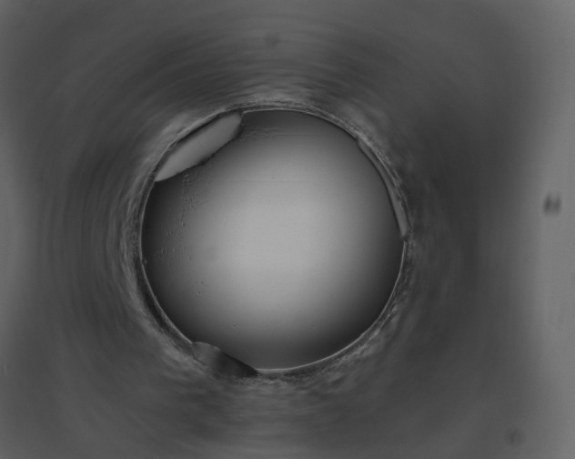 X0000096630193200802121055